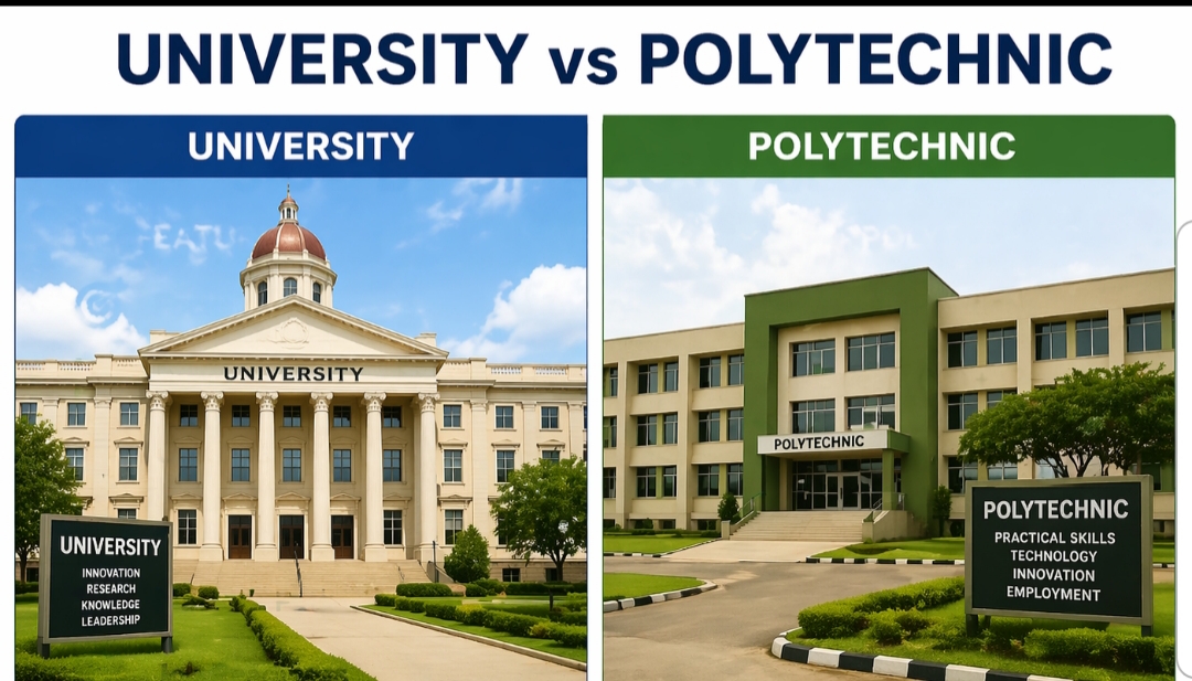 University vs polytechnic